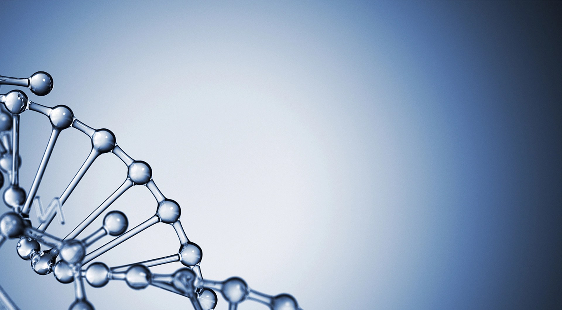 Types Of Column Chromatography Column Instrument Hanbon
