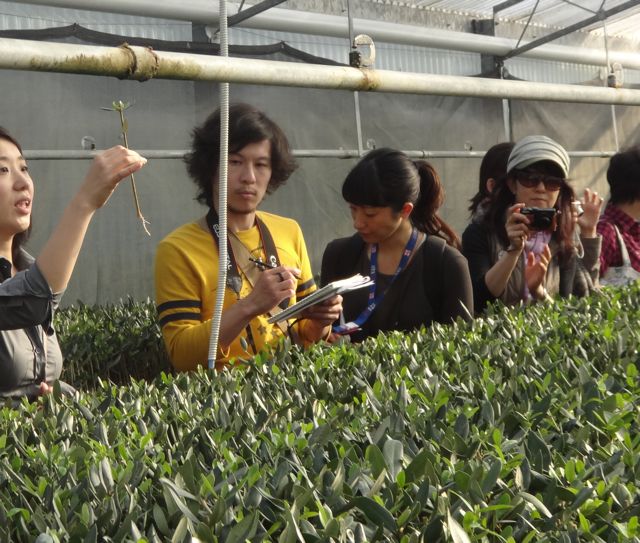 オリーブオイルソムリエ 金子周平さん Jsolio Sommelier Olive Oil