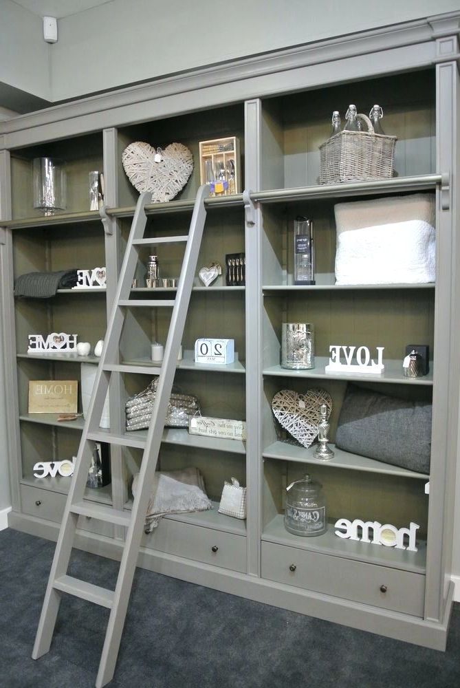 15 Ideas of Bookcases with Ladder and Rail
