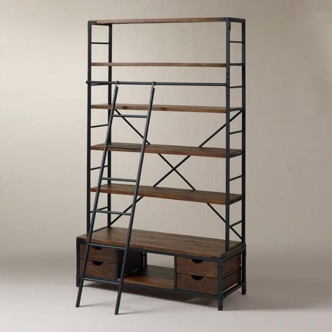 15 Ideas of Bookcases with Ladder and Rail