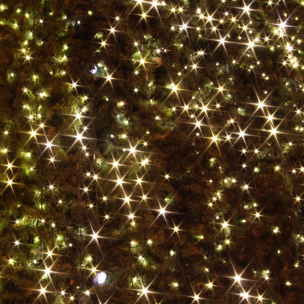 Ocean County Christmas Tree Lighting Jersey Shore Woman