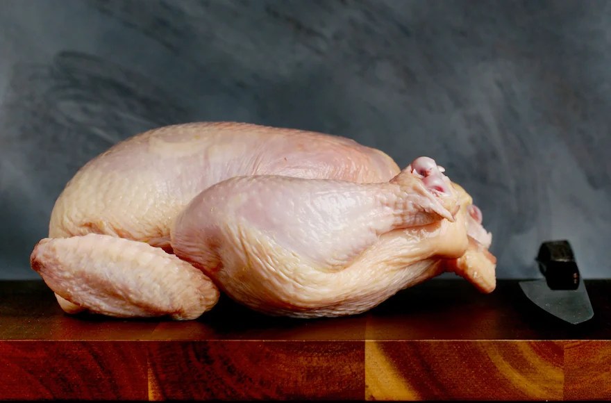 1 dead, 17 sick from salmonella in Empire Kosher chicken Jewish