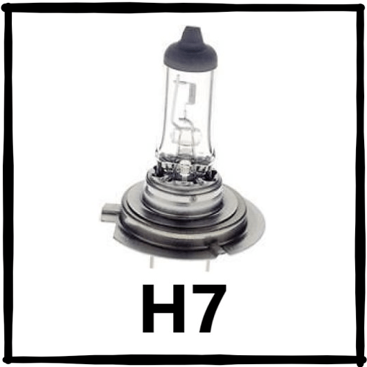 H7 Halogen Globes (Pair) JTX Lighting