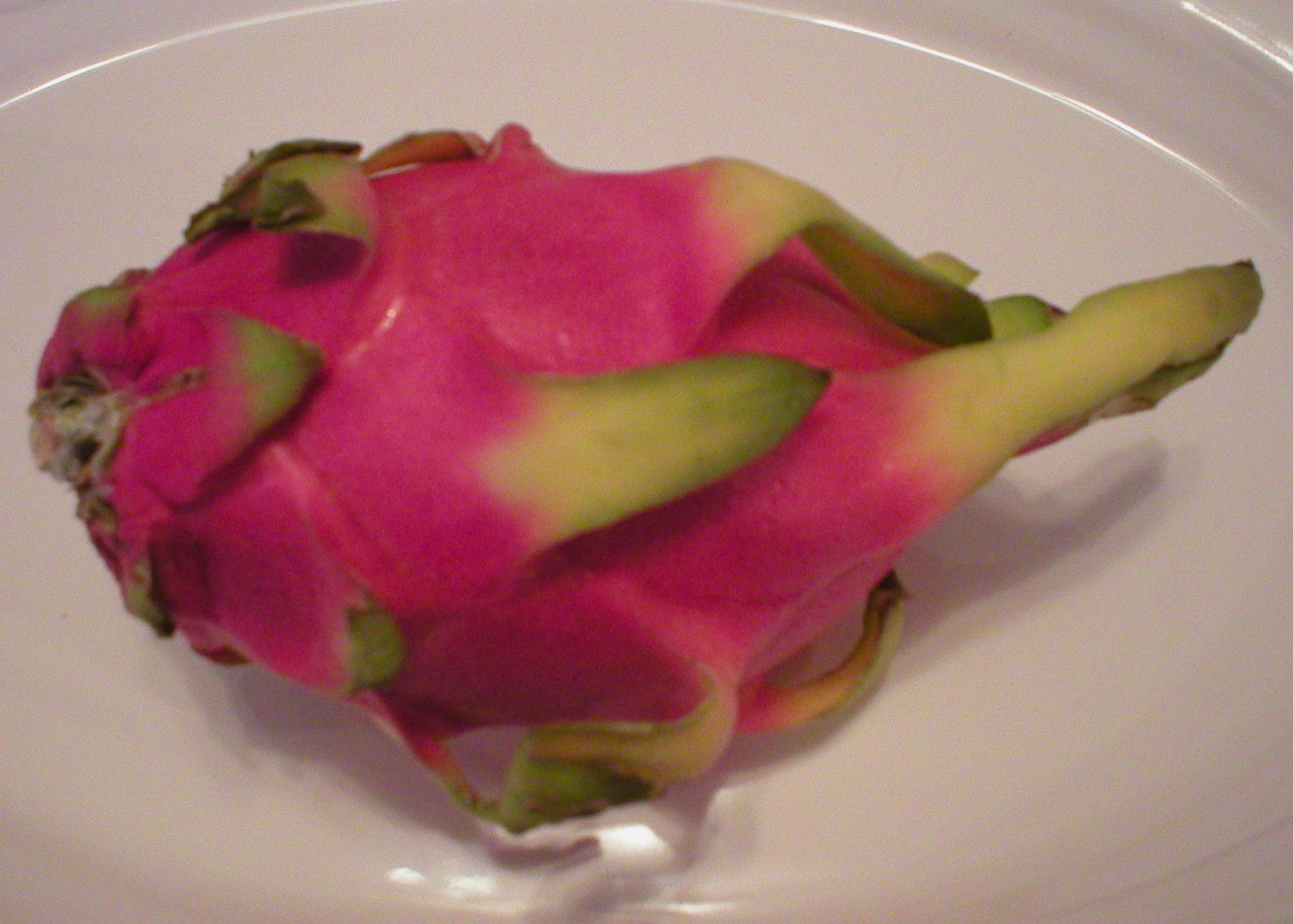 Dragon Fruit A Review(026)