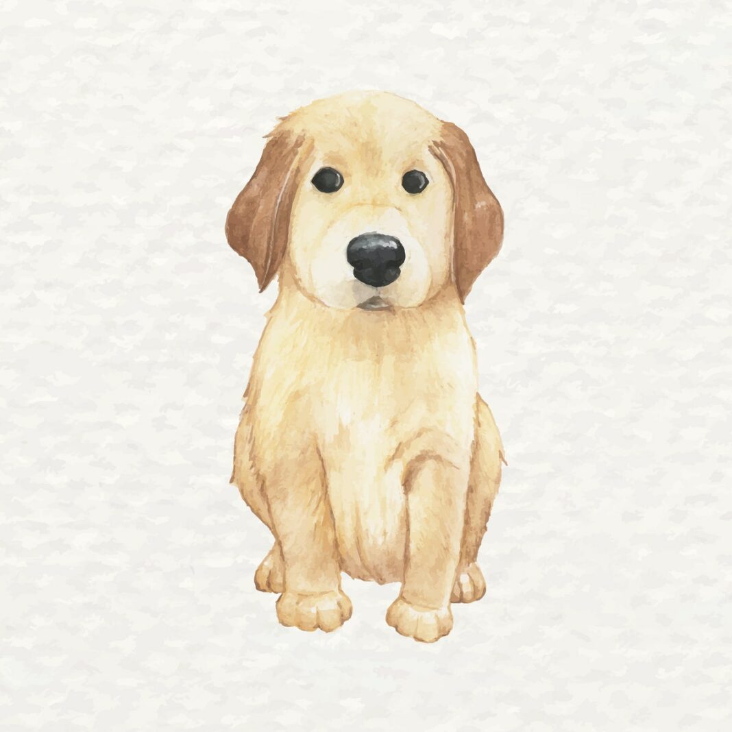 GruppenstundenIdee Hunde › JugendleiterBlog