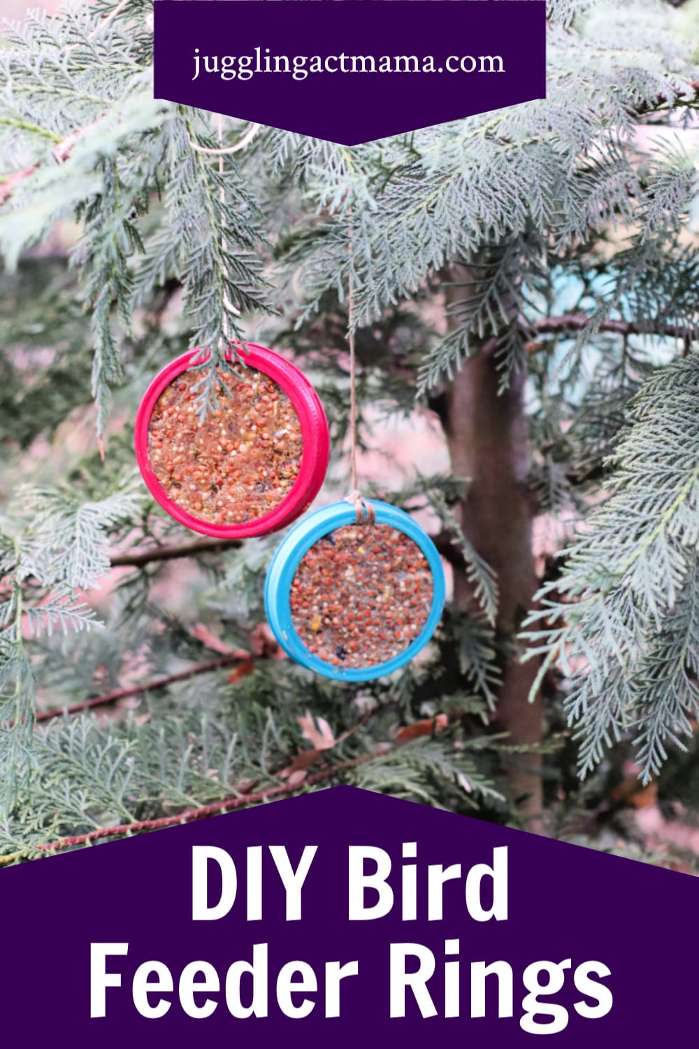 How to Make a Canning Jar Lid Bird Feeder Juggling Act Mama