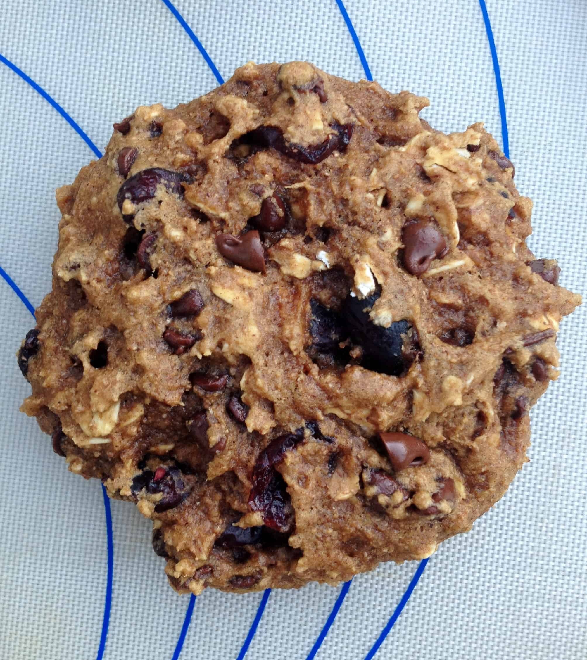 Whole Grain Oatmeal Cookies with Cranberries and Chocolate Juggling