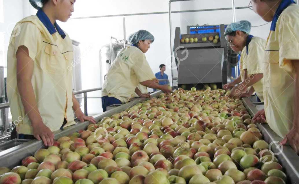 15T/h Complate Peach Juice Production Line Stainless Steel