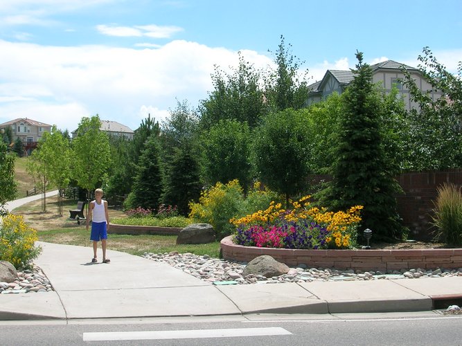 Sustainable Landscape Design Denver, Aurora, Littleton, Broomfield