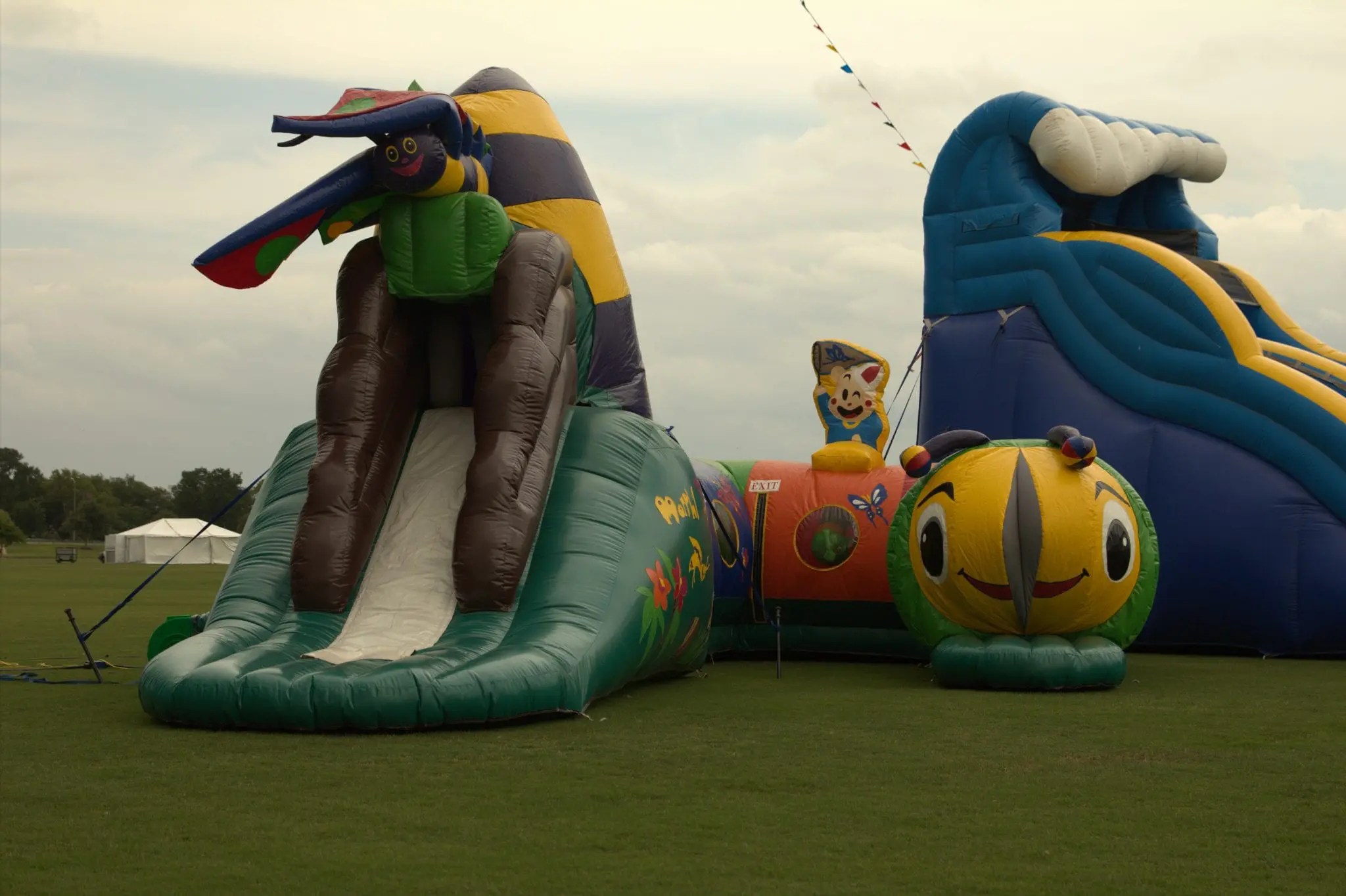 Morphy Jumper Bee Entertainment