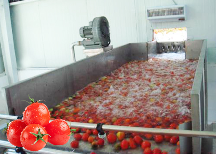 News Process Characteristics And Main Components of Tomato Paste