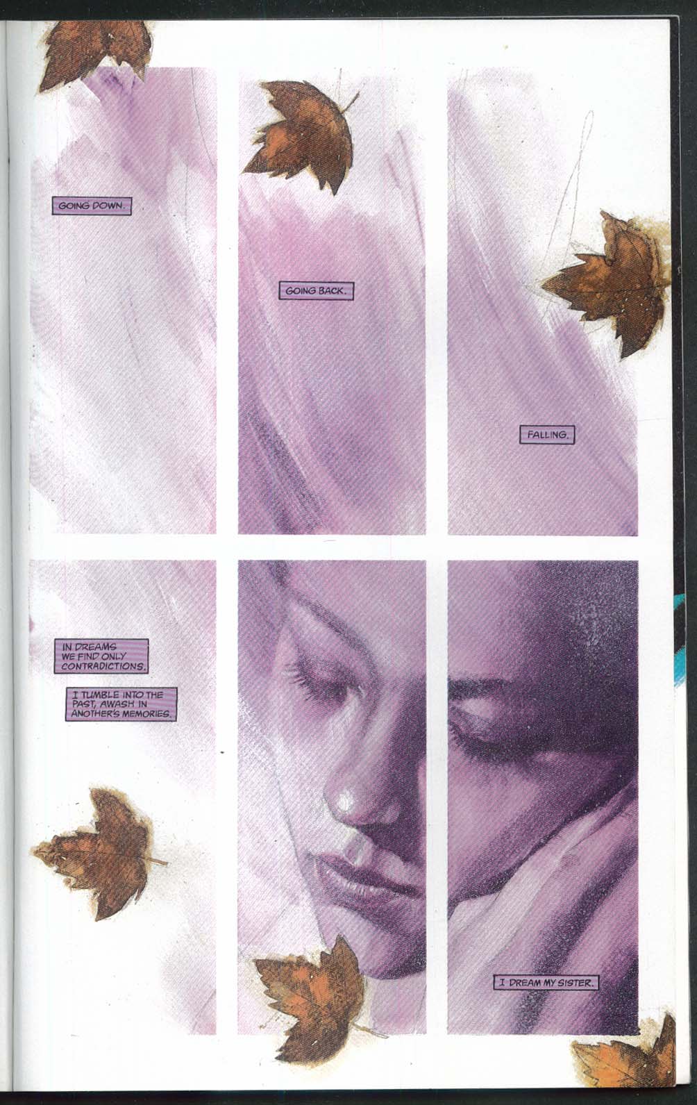 BLACK ORCHID 2 DC comic book 1989 Neil Gaiman & Dave McKean