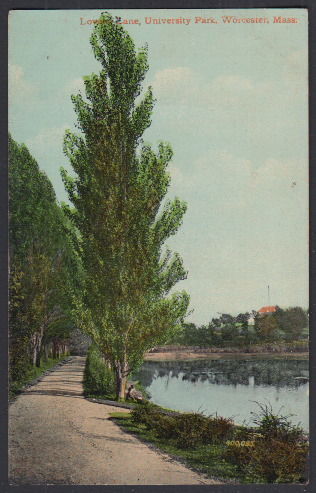 Lover's Lane in University Park at Worcester MA postcard 1910