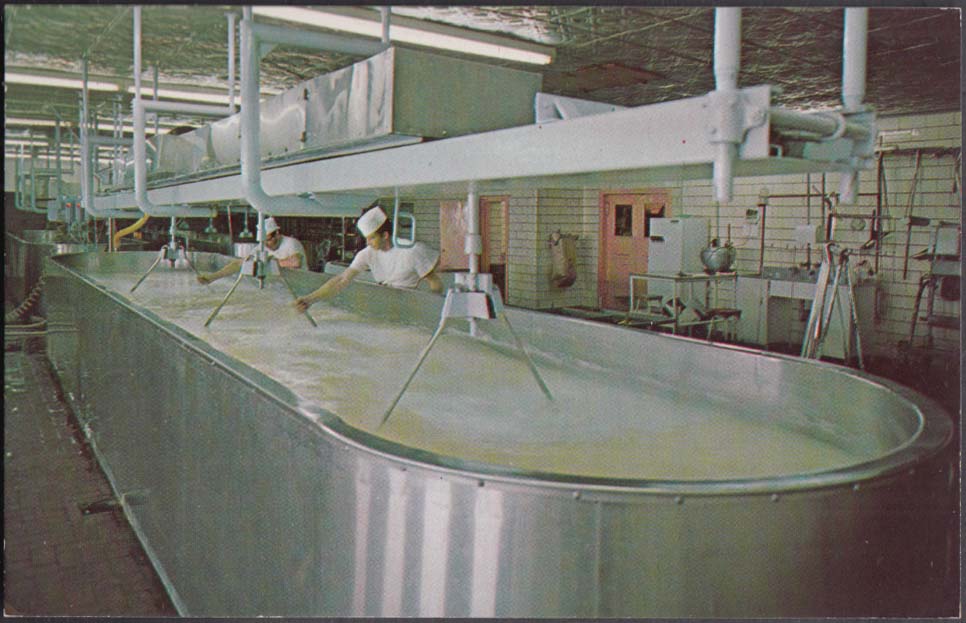 Star Valley Dairy Farms make swiss cheese Thayne WY postcard c 1950s
