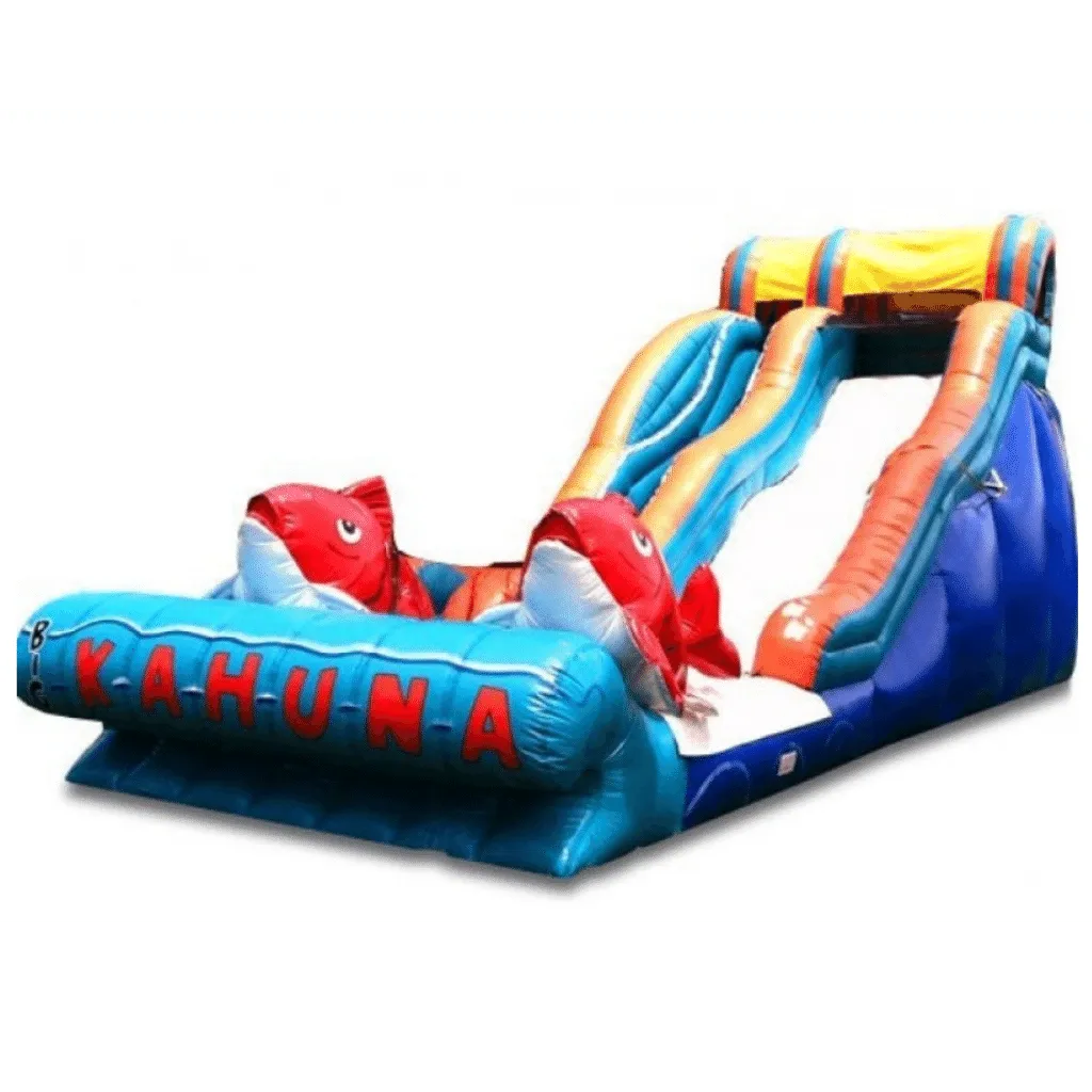 Water Slide Rentals Mooresville NC Bounce House & Party Rentals