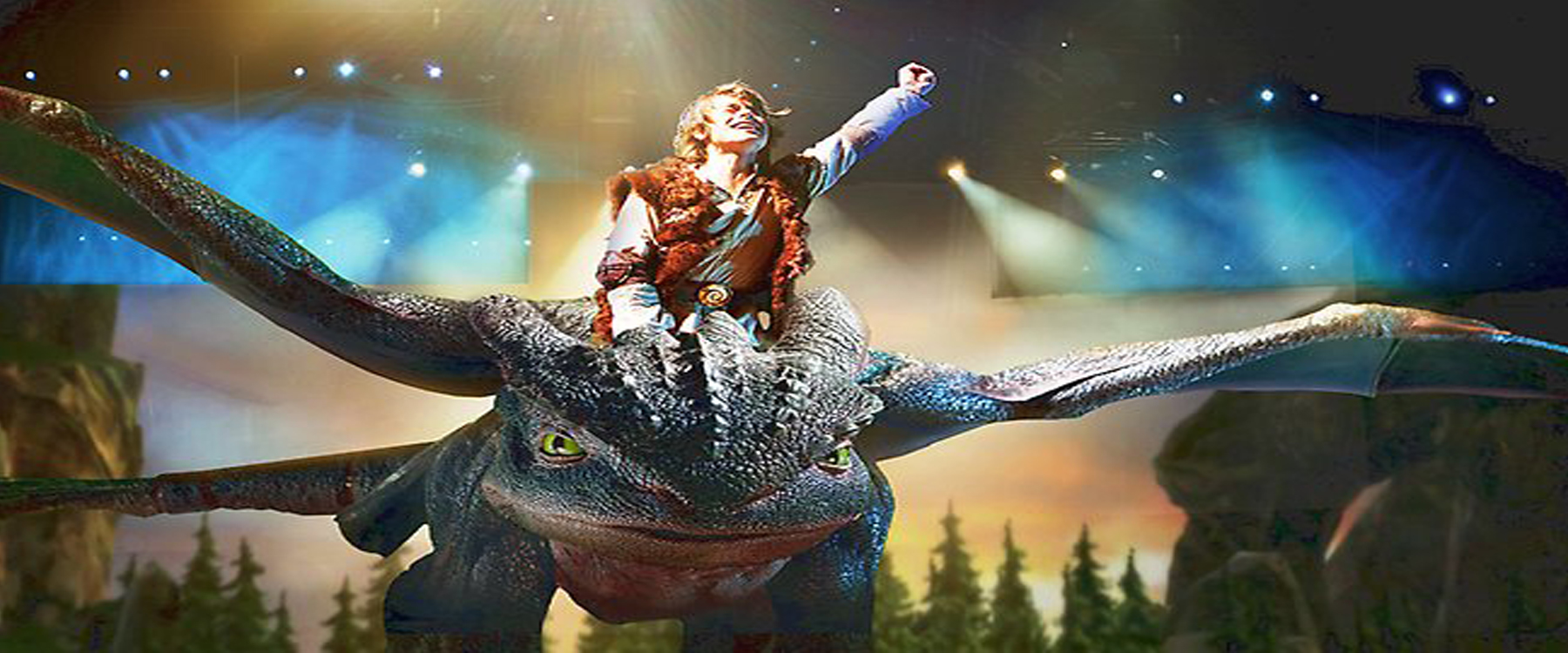 HOW TO TRAIN YOUR DRAGON ARENA SPECTACULAR