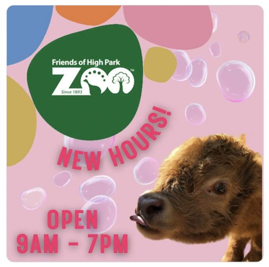 High Park Zoo New opening hours Junctioneer