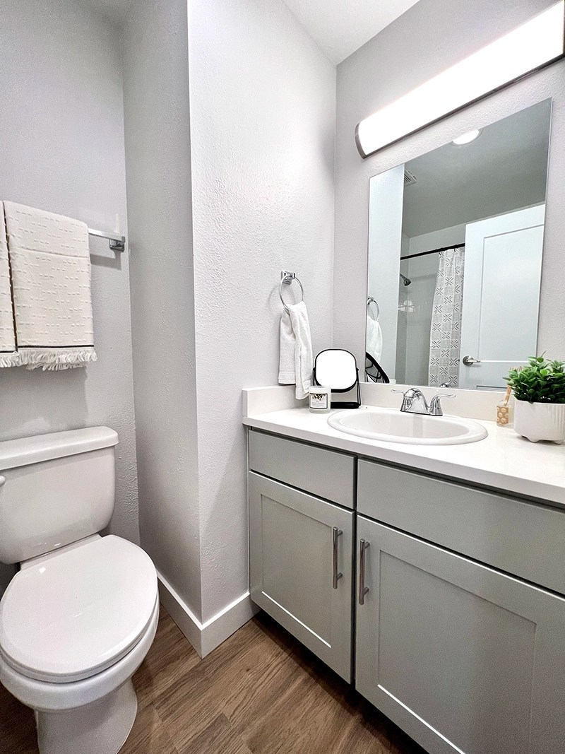 Apartments for Rent Near CSU Student Housing The Junction