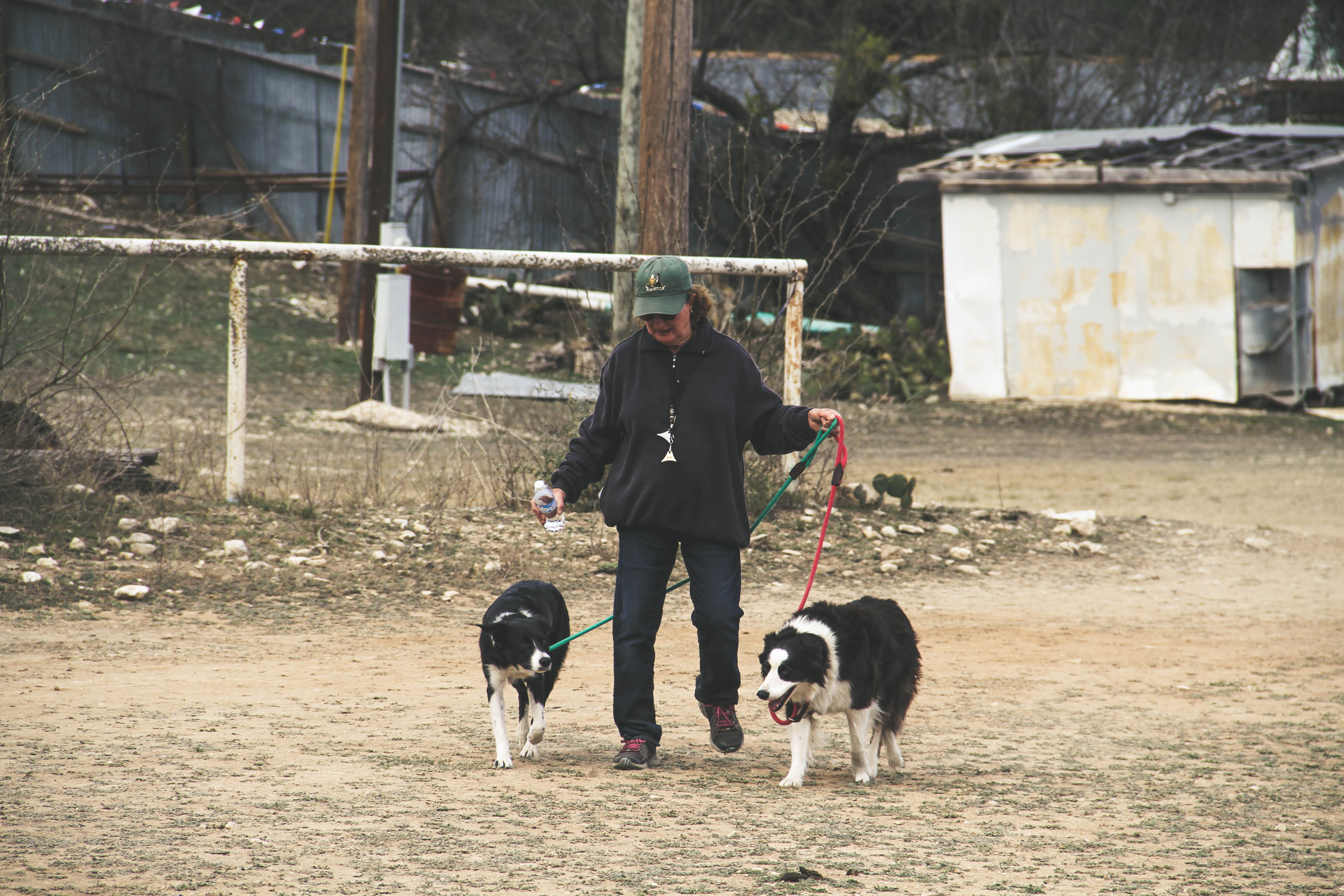 Sheep Dog Trials Junction, TX