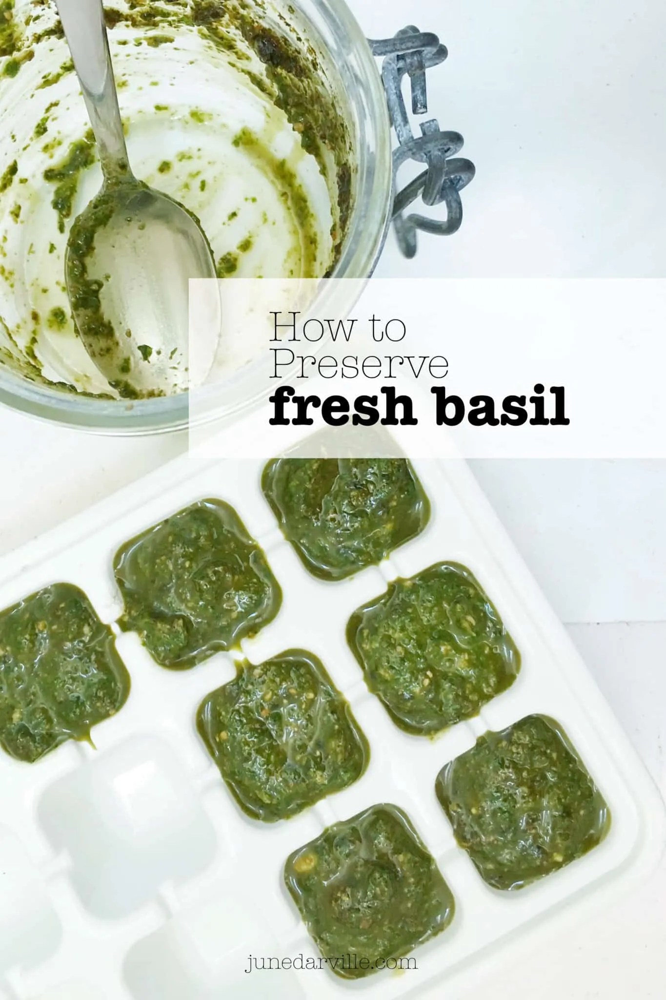 Preserving Basil All Year Long Best Simple. Tasty. Good.