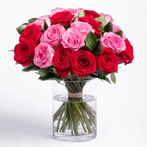 Pink And Red Rose Flowers Pics Best Flower Site