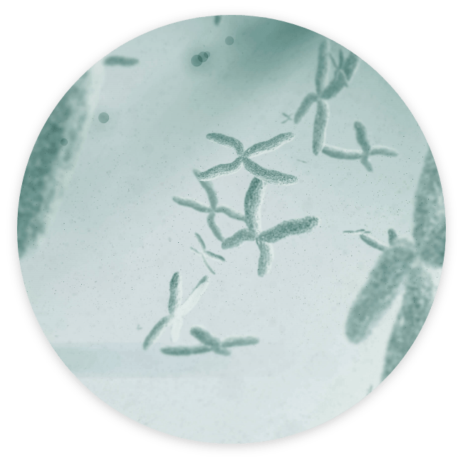 Preimplantation teststo inform your decisions