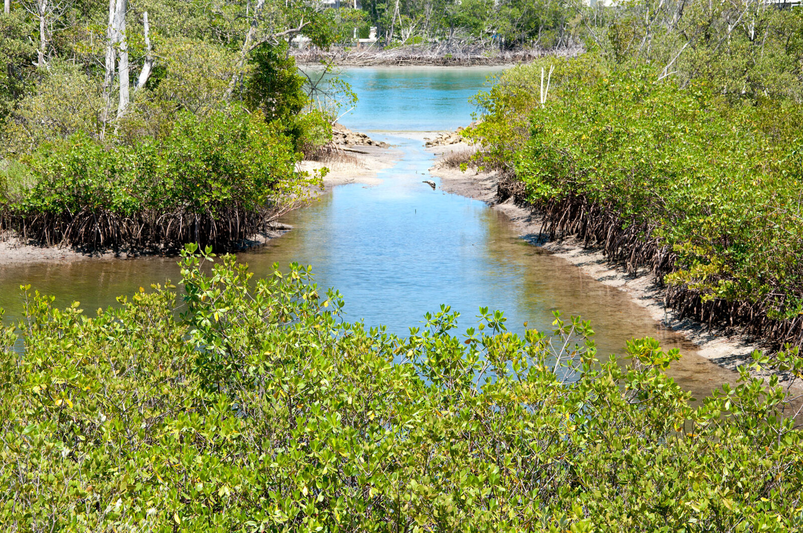 Jupiter Inlet Lighthouse Outstanding Natural Area Jupiter Inlet Lighthouse & Museum