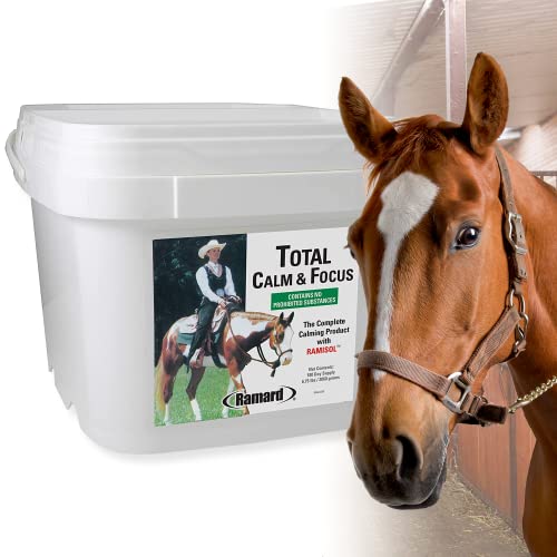 Best Magnesium Supplement For Horses (2023 Updated) Just A Taste