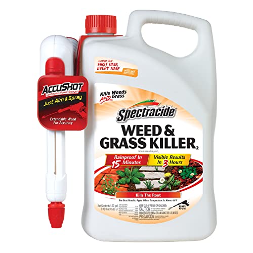 Best Sprayer For Weed Killer (2024 Updated) Just A Taste