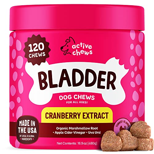 Best Supplement For Dog Incontinence (2024 Updated) Just A Taste