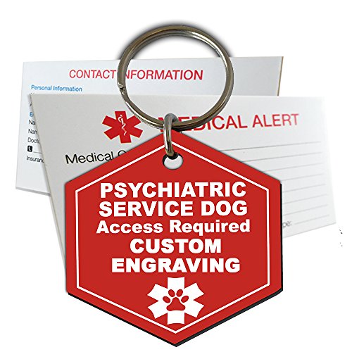 Best Dogs For Psychiatric Service Dogs (2024 Updated) Just A Taste