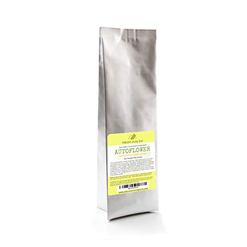 Best Super Soil For Autoflowers (2024 Updated) Just A Taste