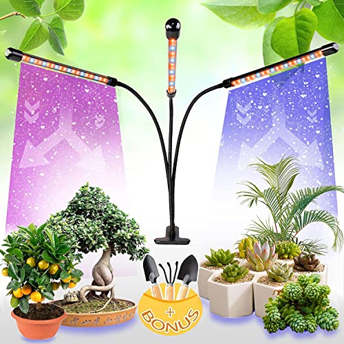 10 Best Grow Lights For Cactus (2023 Update) Just A Taste