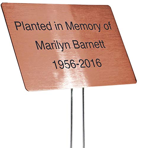 Best Material For Outdoor Signs (2024 Updated) Just A Taste