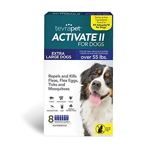 10 Best Tick And Flea Pill For Dogs (2024 Update) Just A Taste