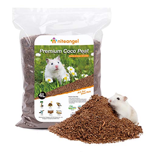 Best Bedding For Dwarf Hamsters (2024 Updated) Just A Taste
