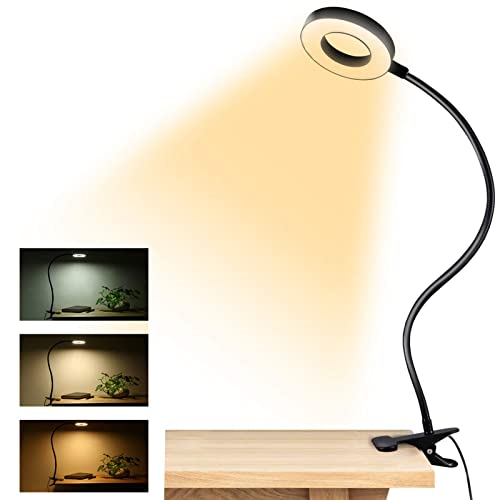 Best Desk Lamp For Video Conferencing (2023 Updated) Just A Taste