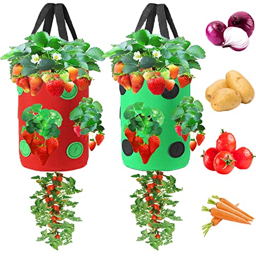 10 Best Upside Down Tomato Planter (2024 Update) Just A Taste
