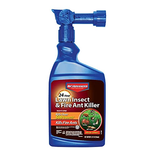 Best Fire Ant Killer For Lawns (2024 Updated) Just A Taste