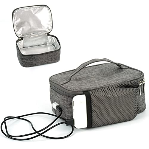 Best Battery Powered Lunch Box (2024 Updated) Just A Taste