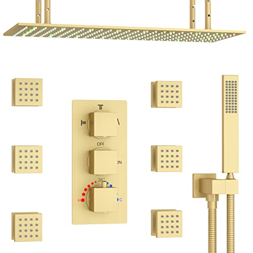 Best Shower Head For Tall Person (2023 Updated) Just A Taste