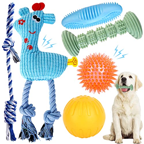 Best Toys For A Puppy (2024 Updated) Just A Taste