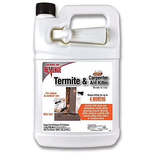Best Spray For Carpenter Ants (2024 Updated) Just A Taste