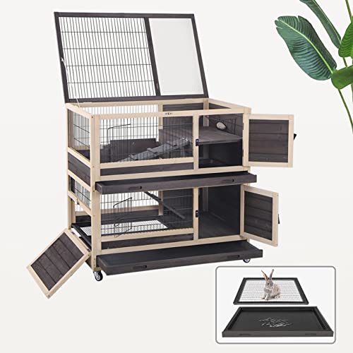 Best Cage For Guinea Pig (2024 Updated) Just A Taste