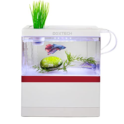 10 Best Filter For Goldfish Tank (2024 Update) Just A Taste