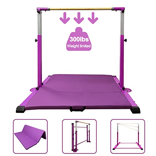 10 Best Gymnastic Bars For Home (2024 Update) Just A Taste