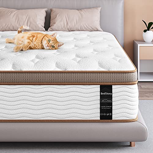 Best Mattress For No Motion Transfer (2023 Update) Just A Taste