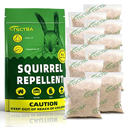 Best Squirrel Repellent For Attic (2024 Updated) Just A Taste