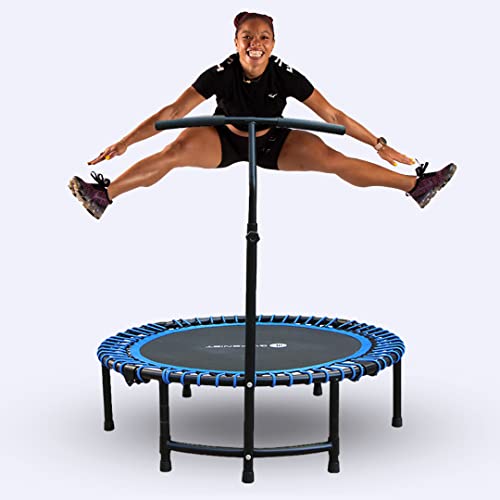 Best Mini Trampoline For Adults (2024 Updated) Just A Taste