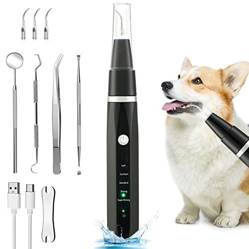 Best Toothbrush For Tartar Removal (2024 Updated) Just A Taste